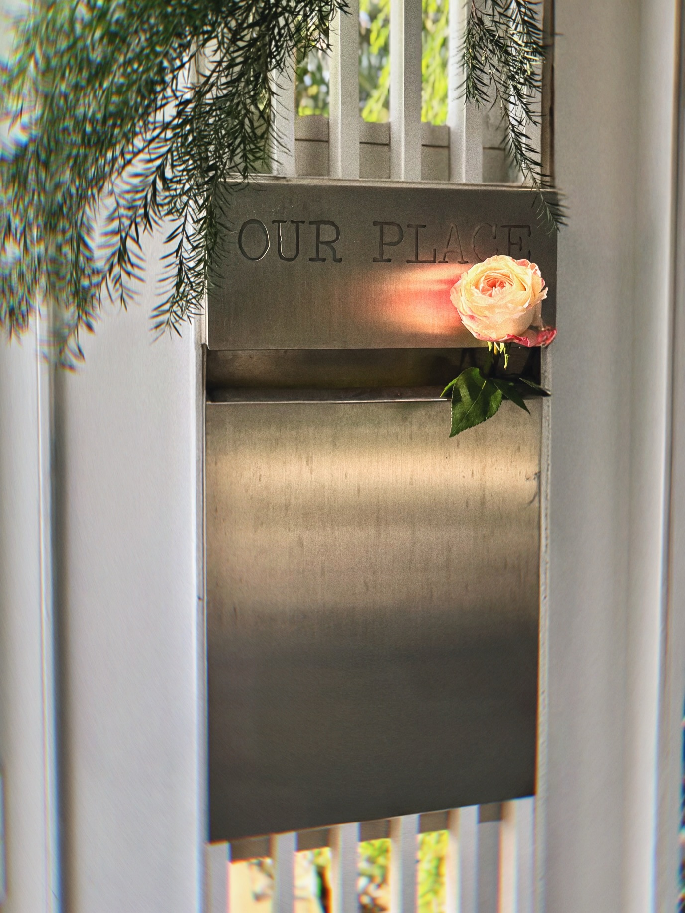 เจี๊ยบ - ลลนา ก้องธรนินทร์