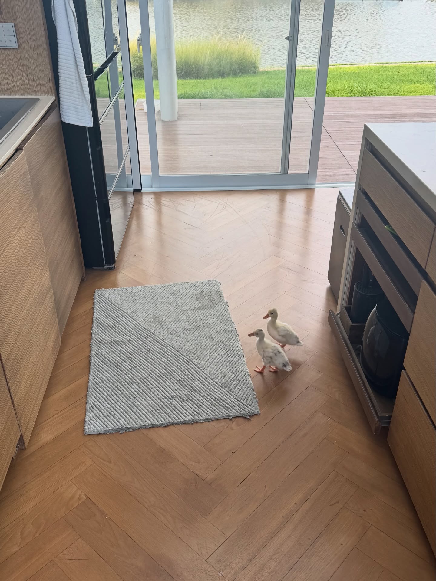 เจี๊ยบ - ลลนา ก้องธรนินทร์