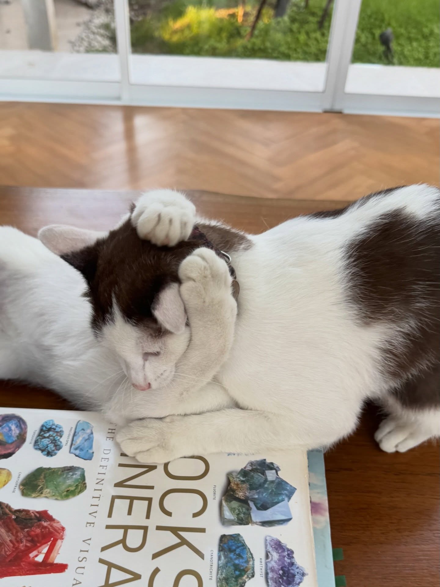 เจี๊ยบ - ลลนา ก้องธรนินทร์