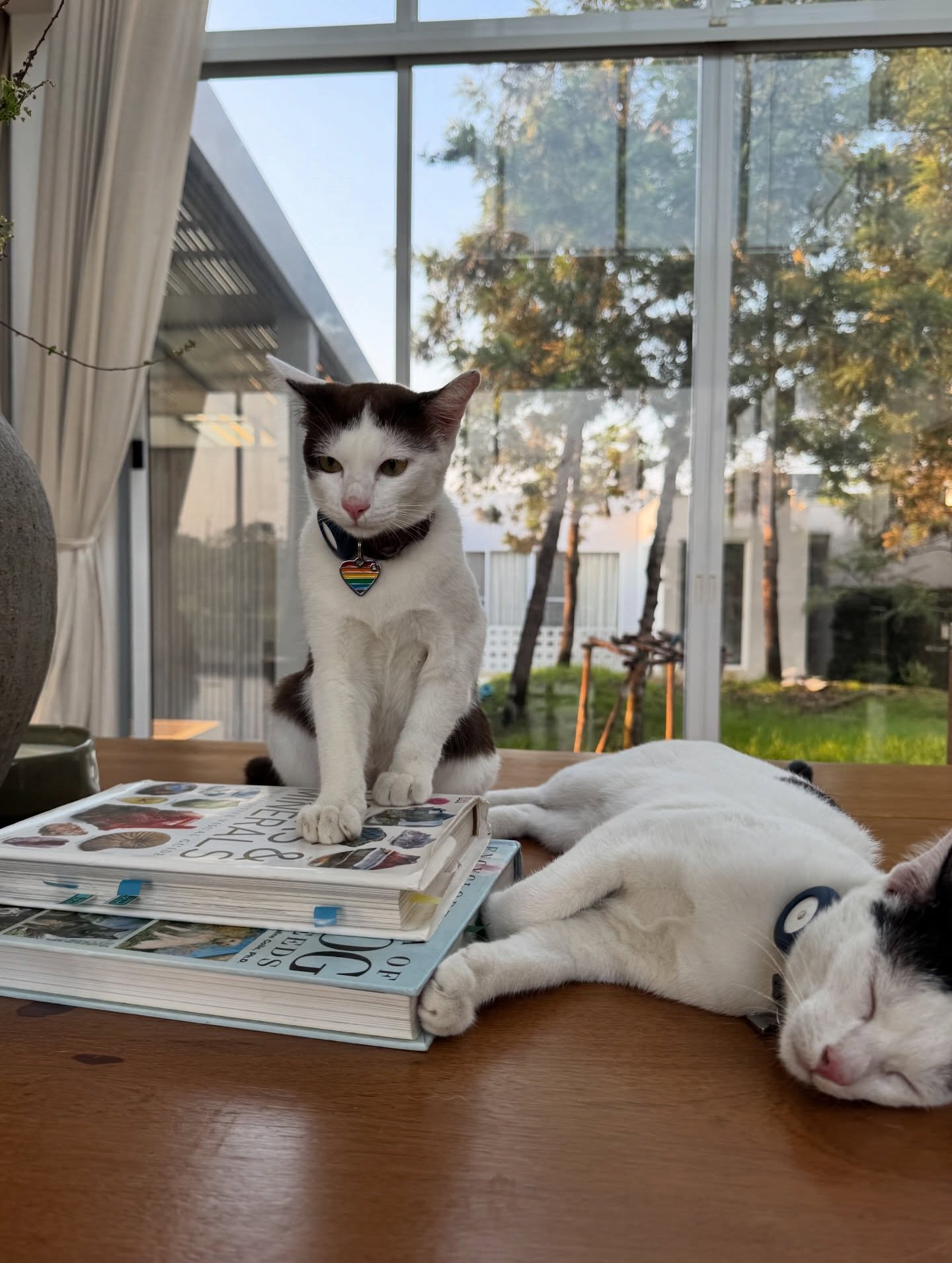 เจี๊ยบ - ลลนา ก้องธรนินทร์