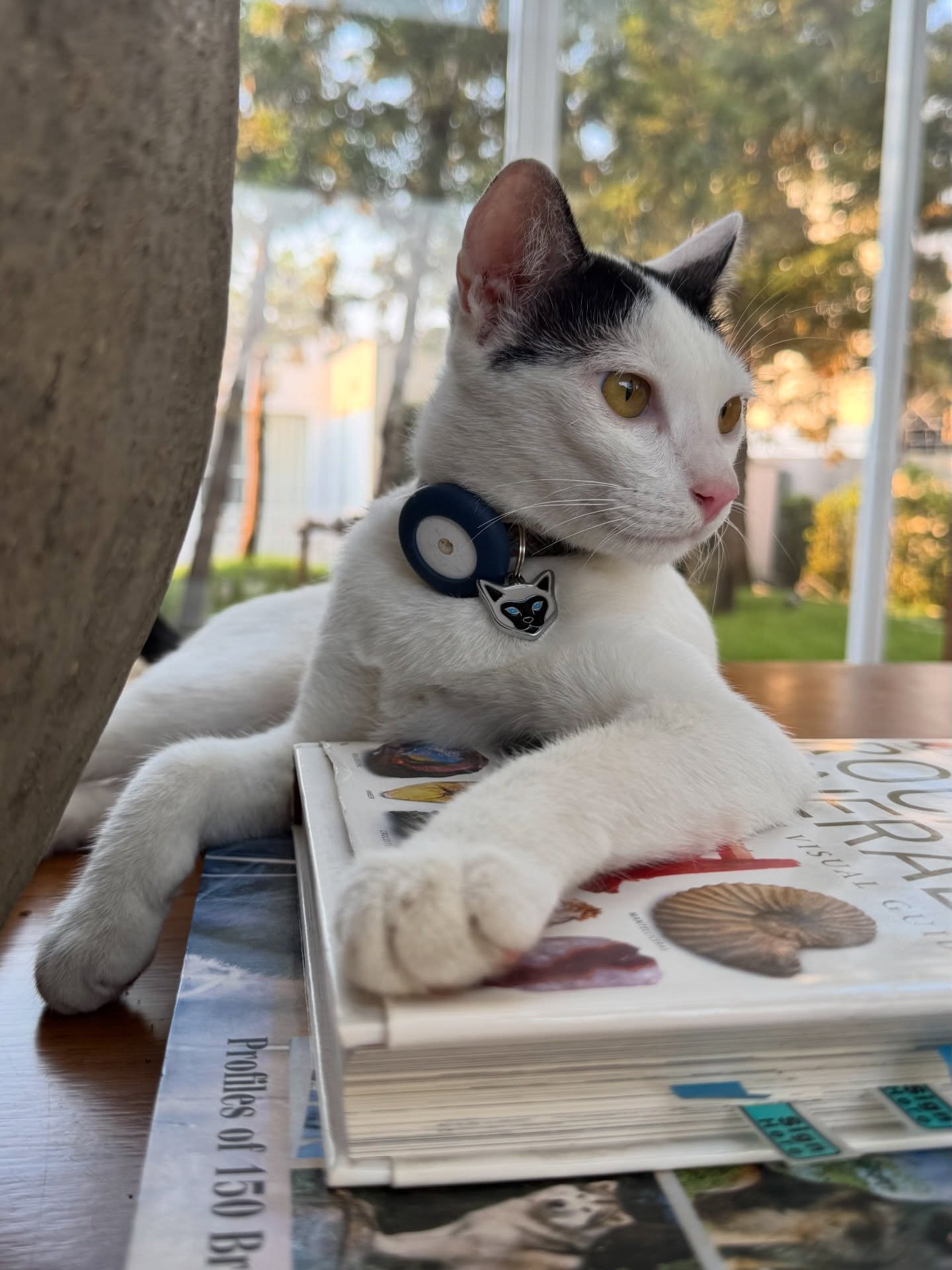 เจี๊ยบ - ลลนา ก้องธรนินทร์