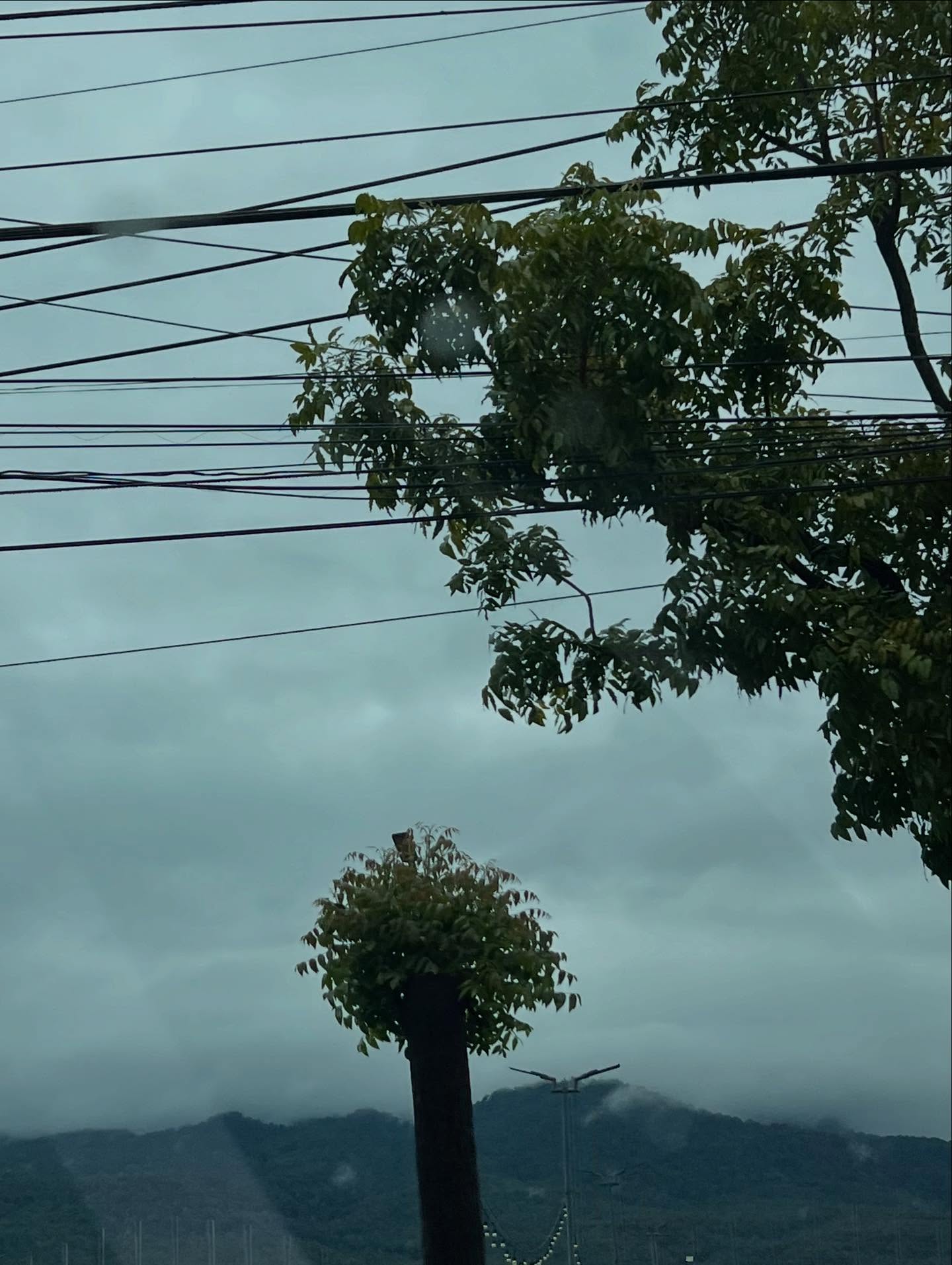 เงิน - อนุภาษ เหลืองสดใส