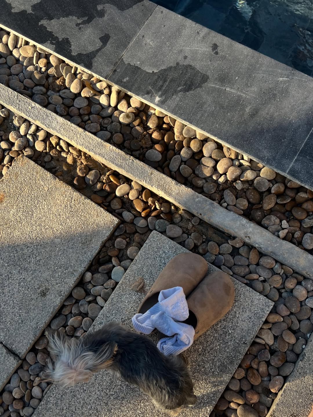 เงิน - อนุภาษ เหลืองสดใส