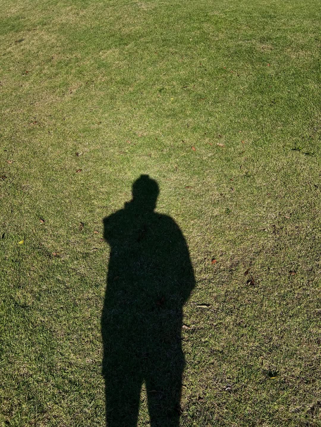 เงิน - อนุภาษ เหลืองสดใส