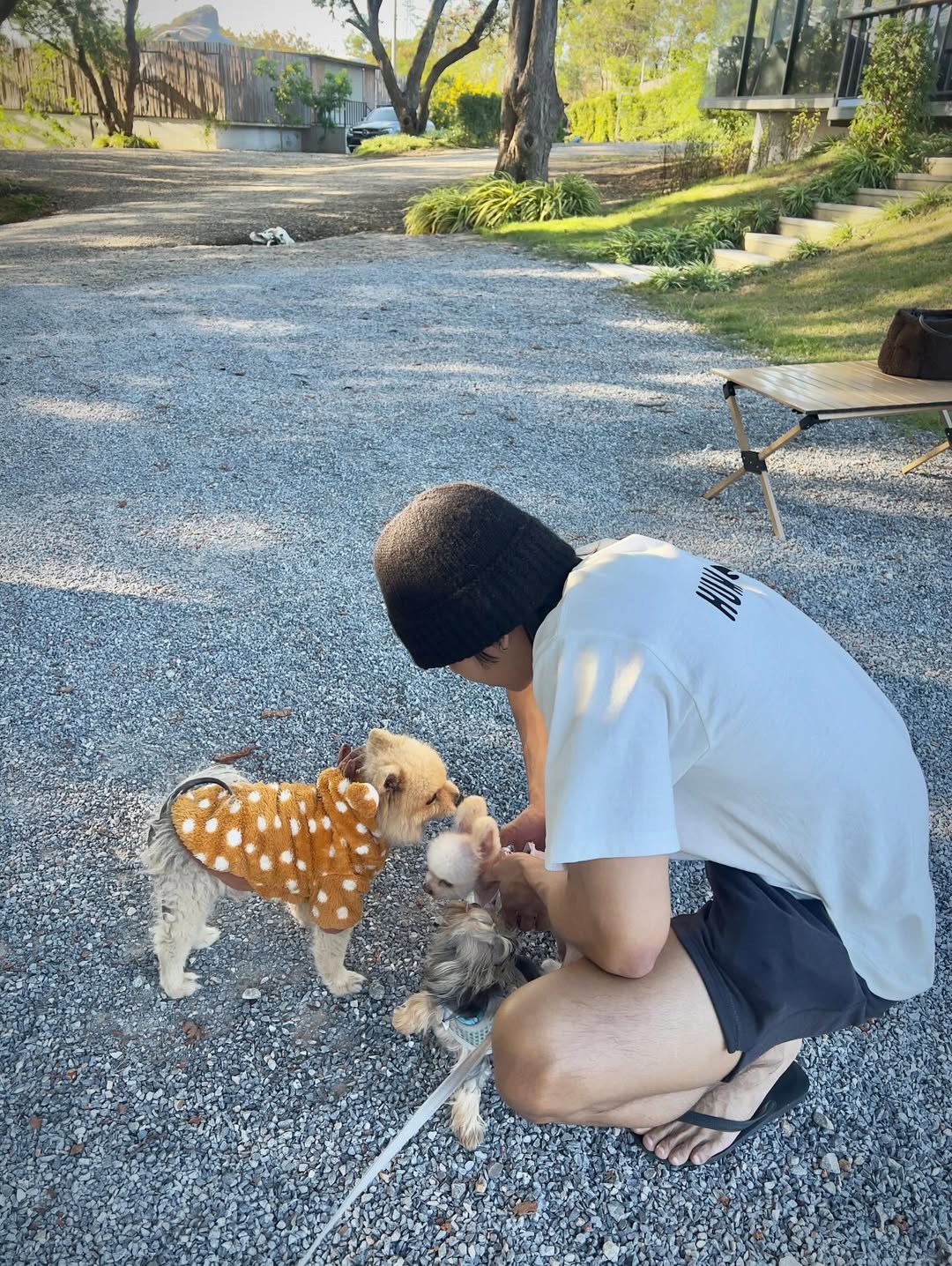 เงิน - อนุภาษ เหลืองสดใส