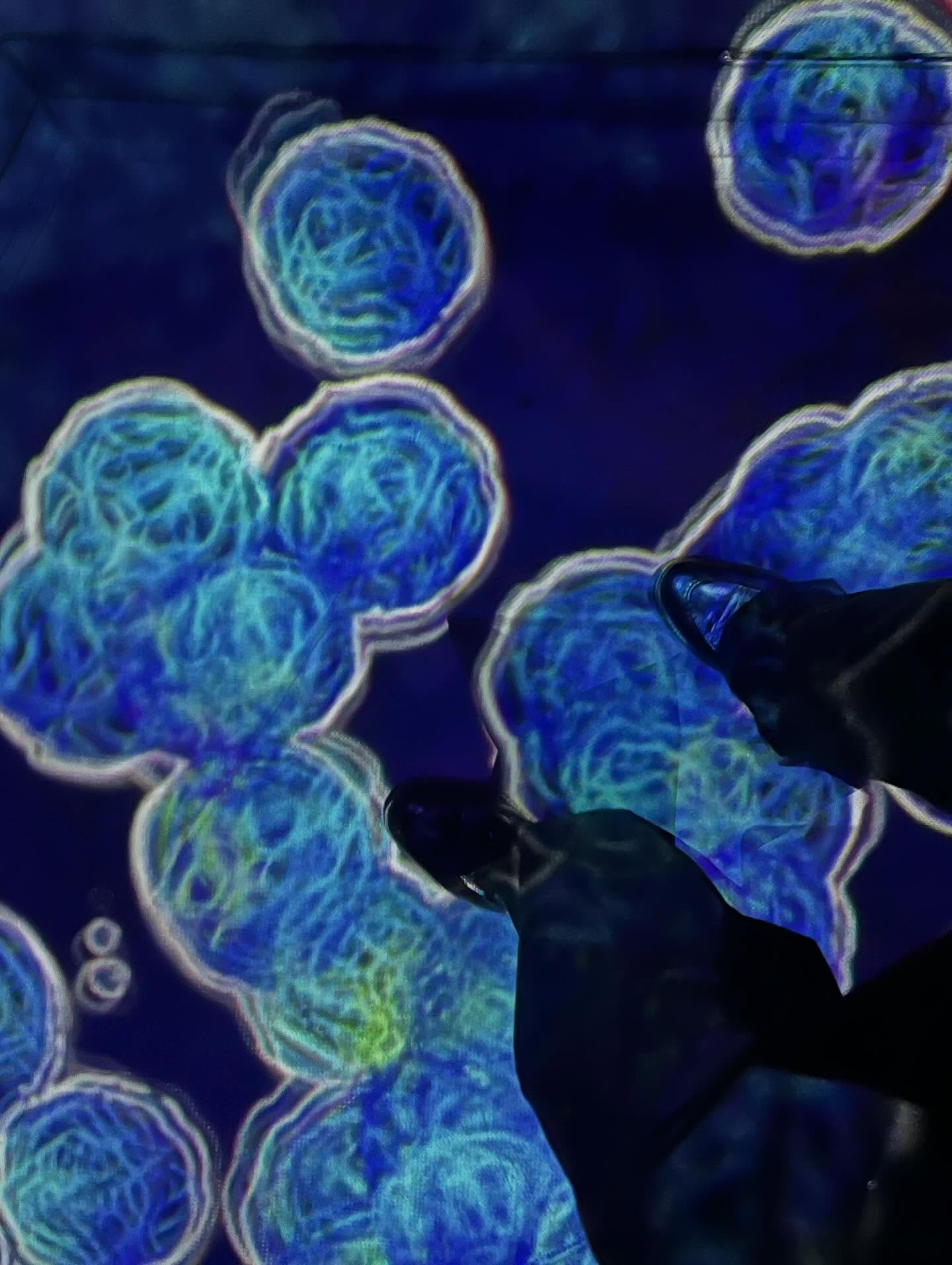 เงิน - อนุภาษ เหลืองสดใส