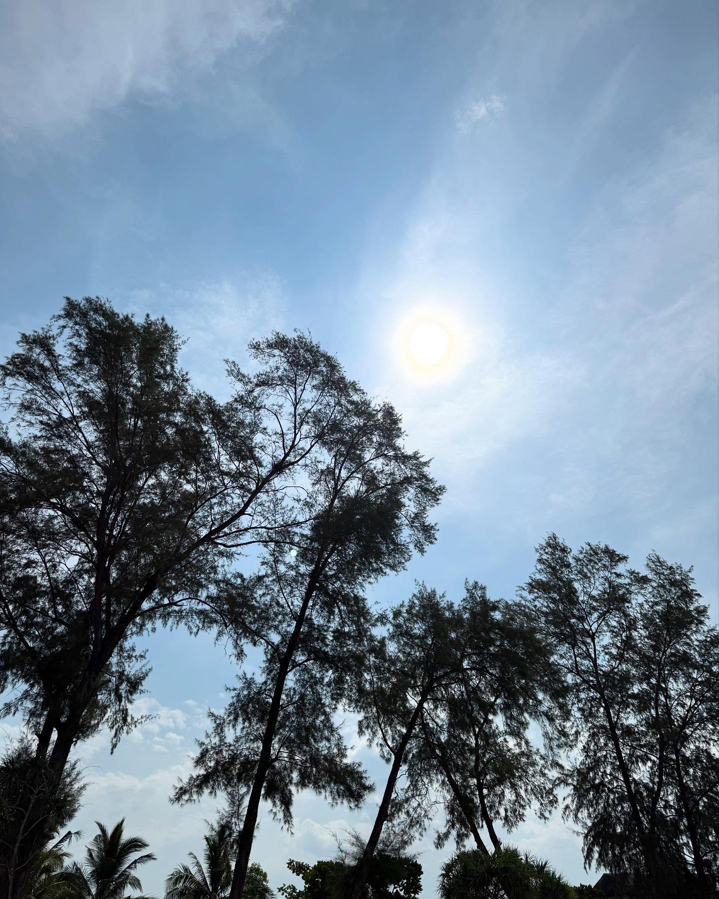 ยิปซี - คีรติ มหาพฤกษ์พงศ์
