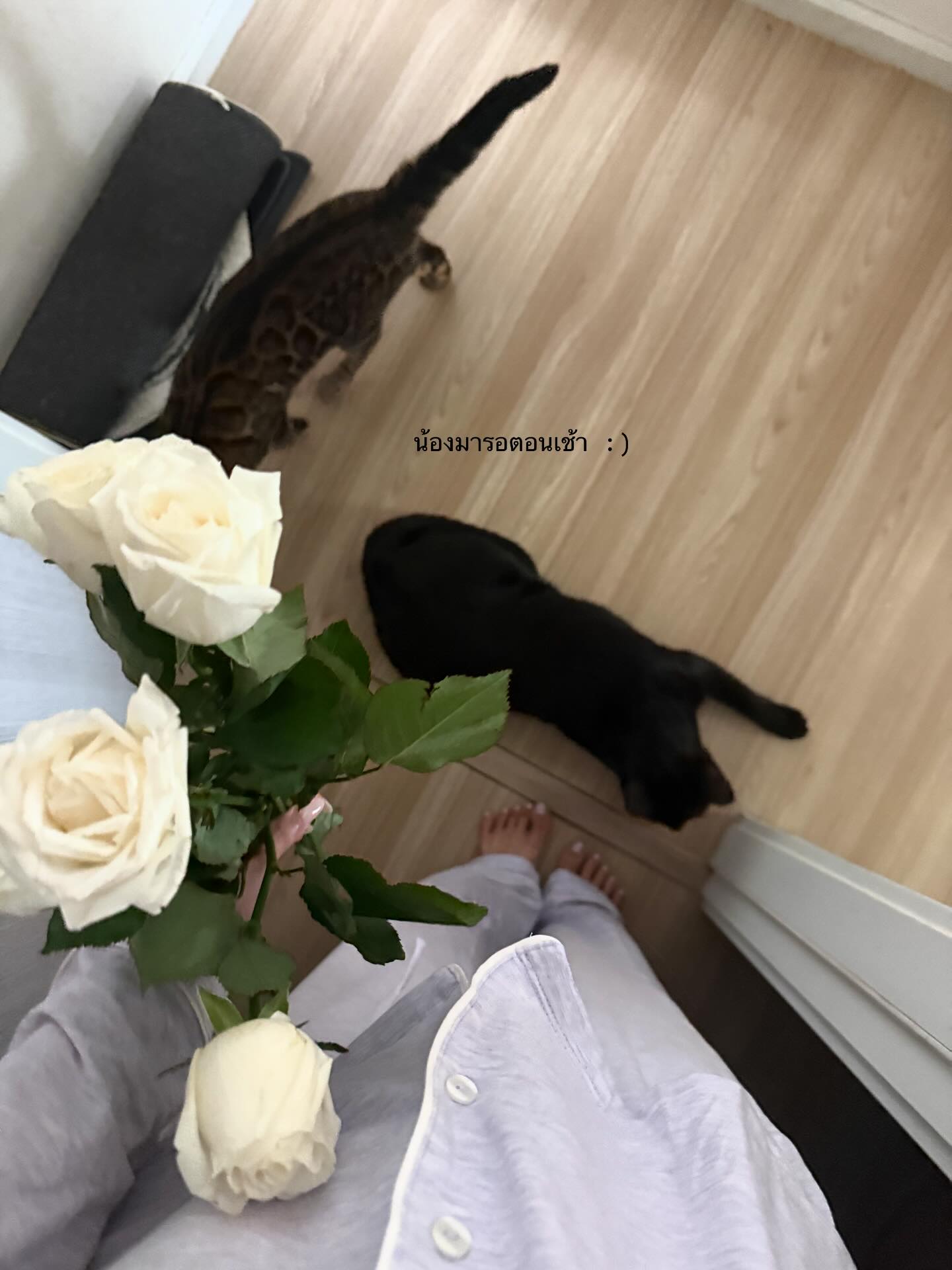 ยิปซี - คีรติ มหาพฤกษ์พงศ์