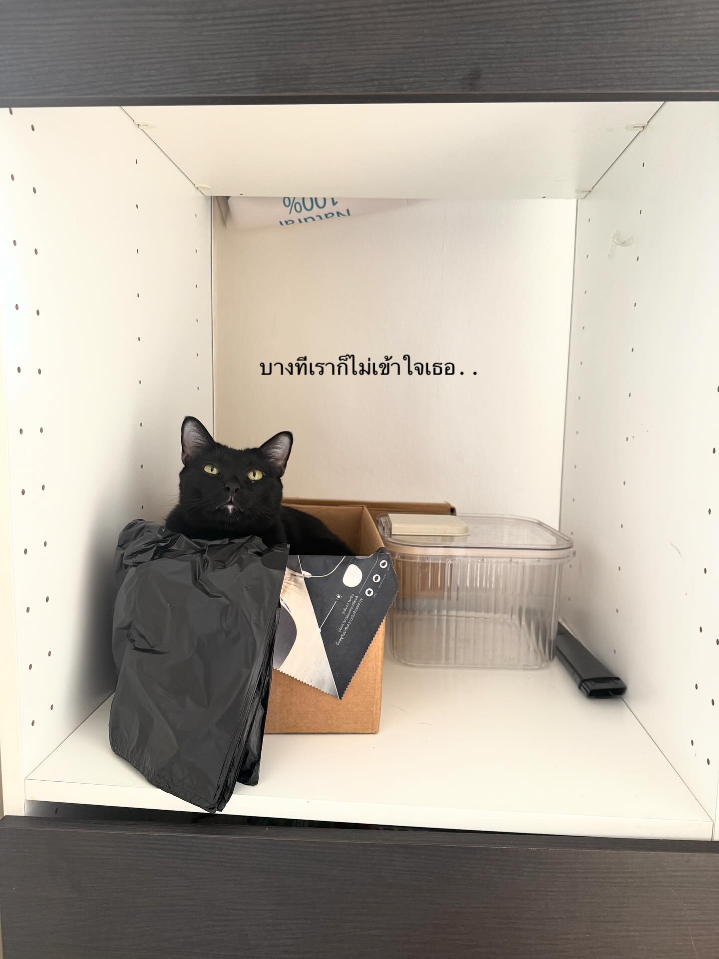 ยิปซี - คีรติ มหาพฤกษ์พงศ์