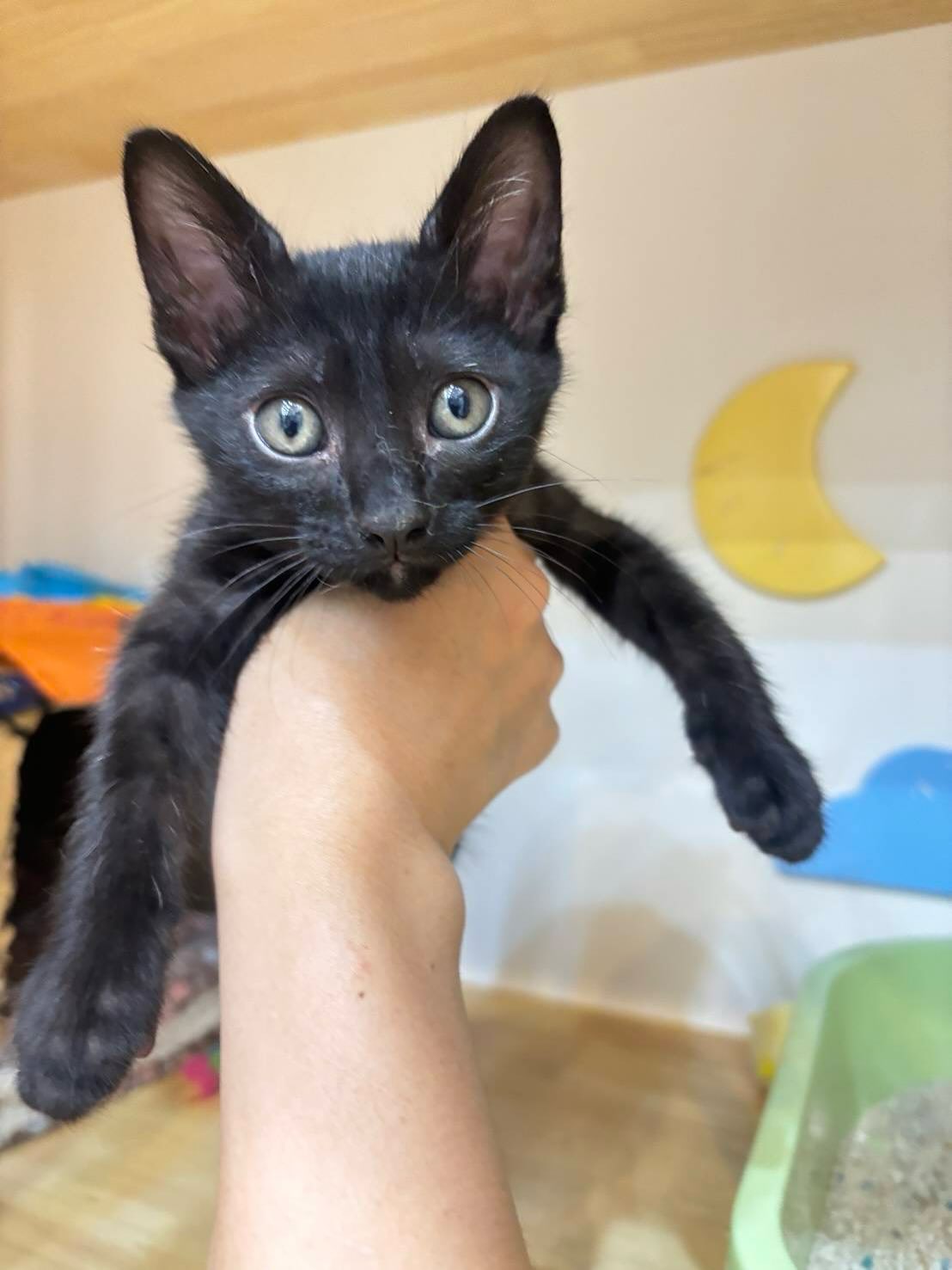 ยิปซี - คีรติ มหาพฤกษ์พงศ์