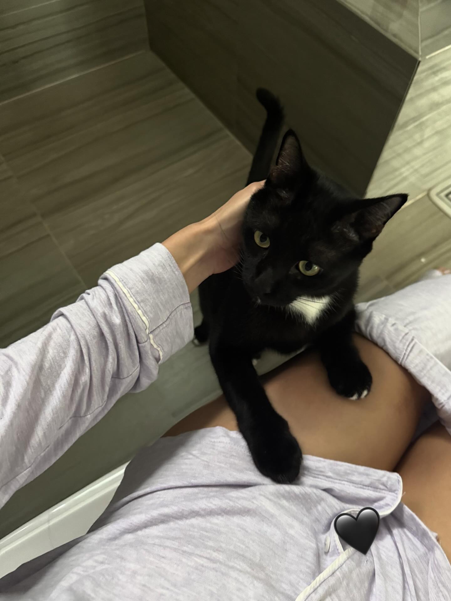 ยิปซี - คีรติ มหาพฤกษ์พงศ์