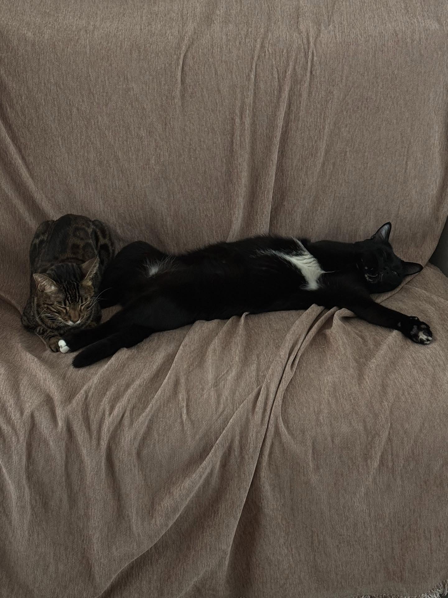 ยิปซี - คีรติ มหาพฤกษ์พงศ์