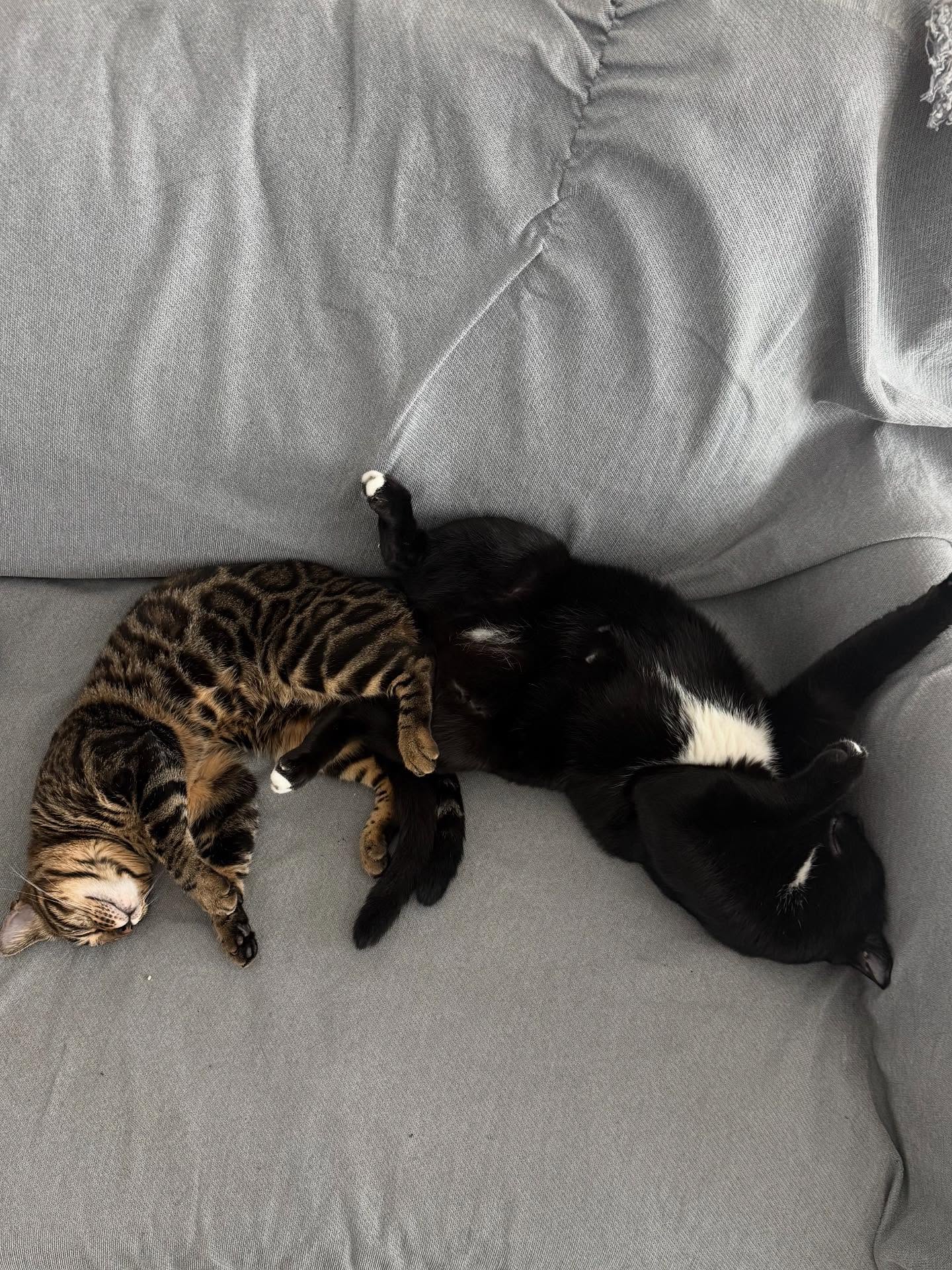 ยิปซี - คีรติ มหาพฤกษ์พงศ์