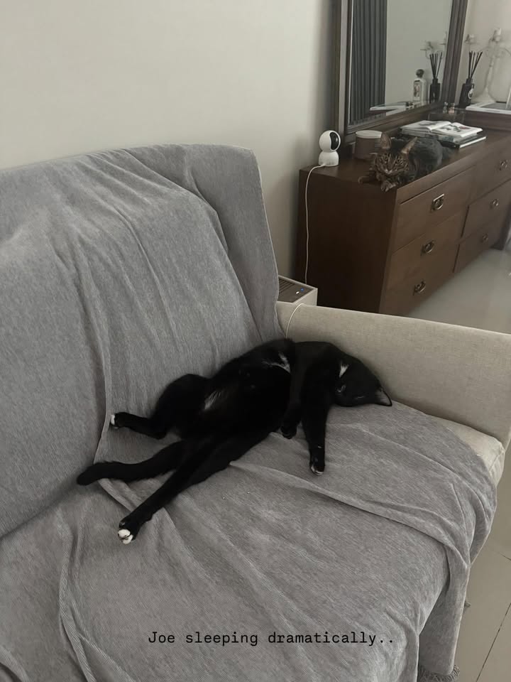 ยิปซี - คีรติ มหาพฤกษ์พงศ์