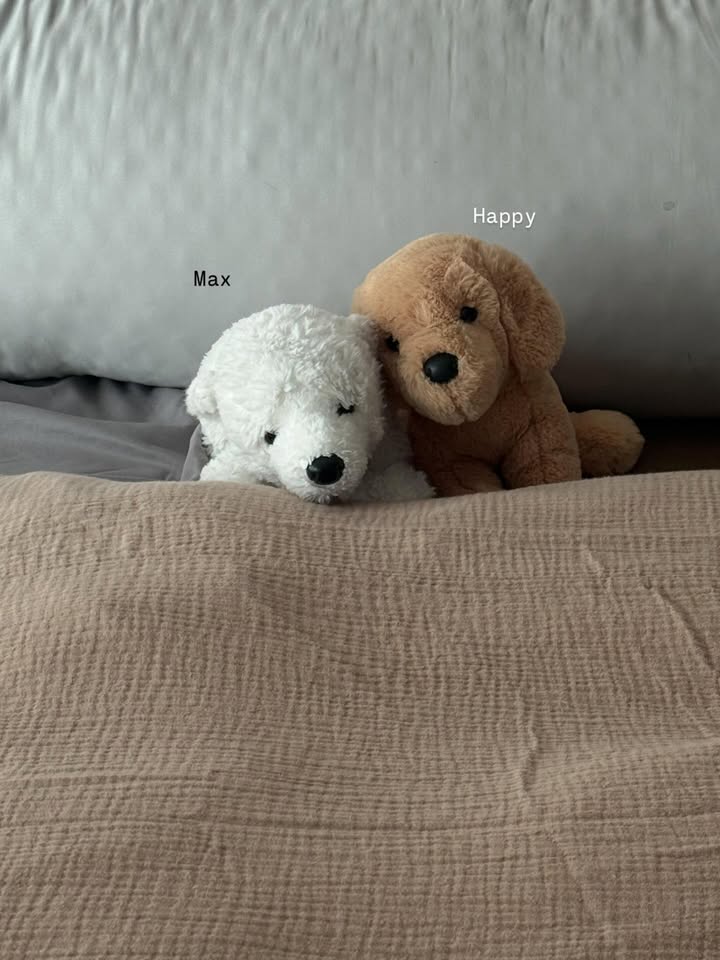 ยิปซี - คีรติ มหาพฤกษ์พงศ์