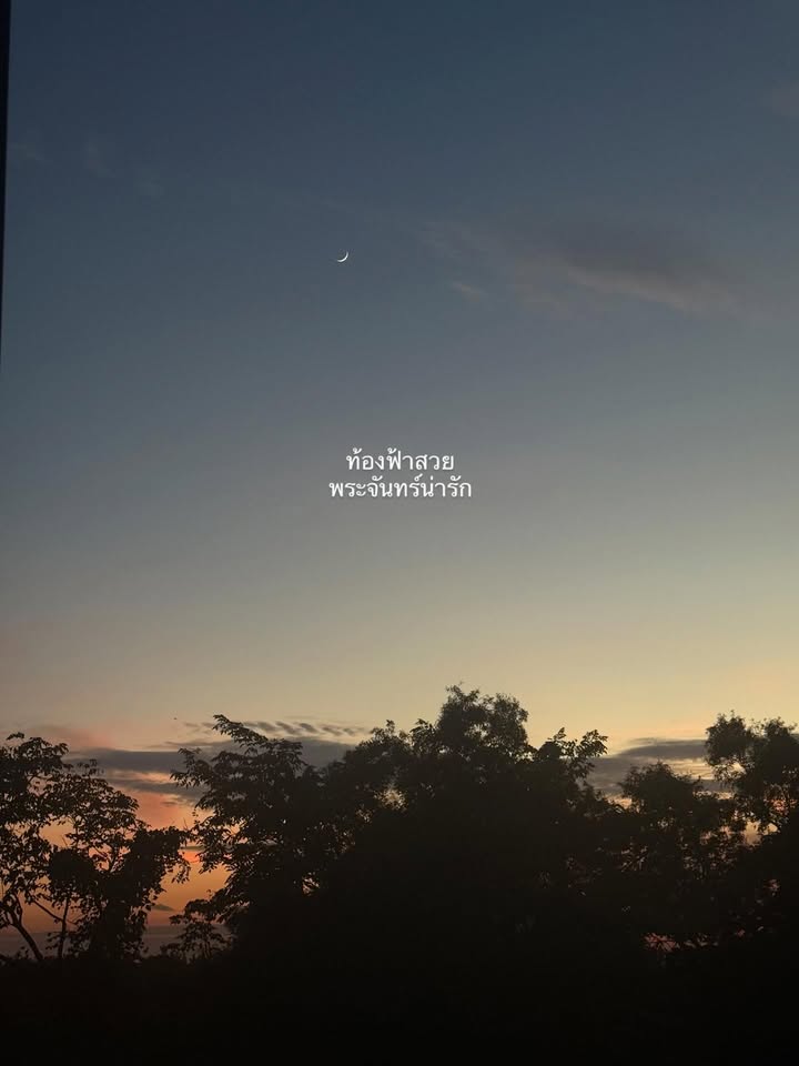 ยิปซี - คีรติ มหาพฤกษ์พงศ์