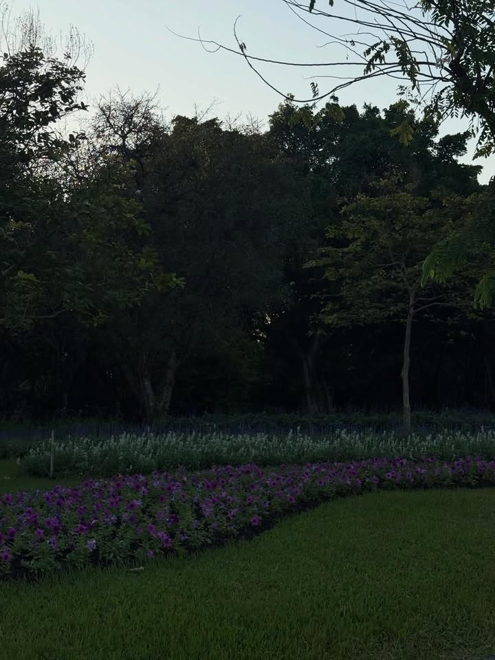 ยิปซี - คีรติ มหาพฤกษ์พงศ์