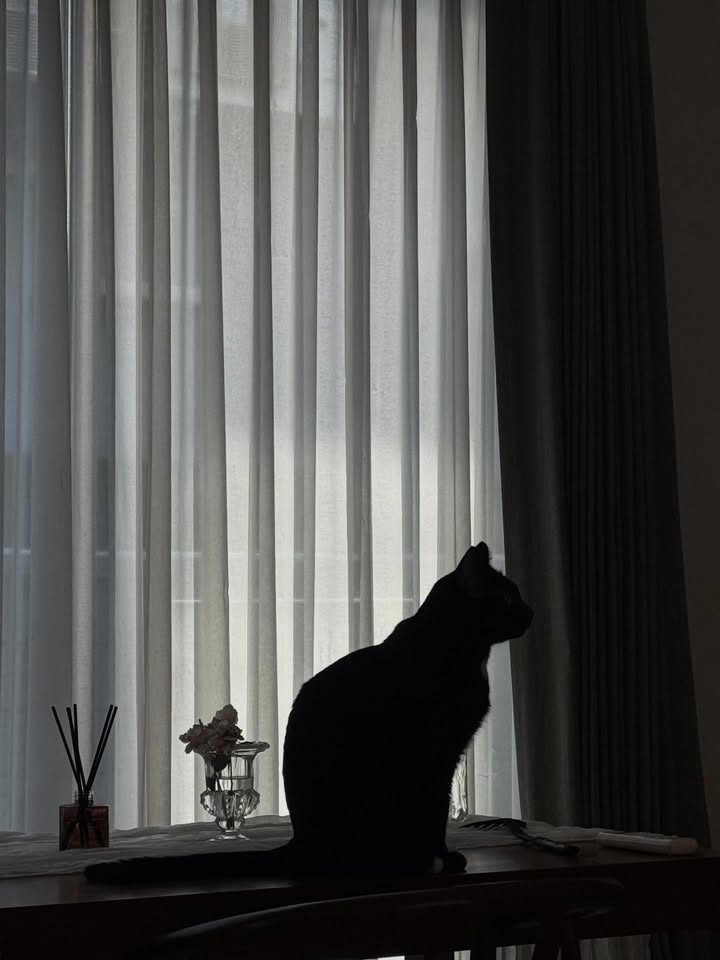 ยิปซี - คีรติ มหาพฤกษ์พงศ์