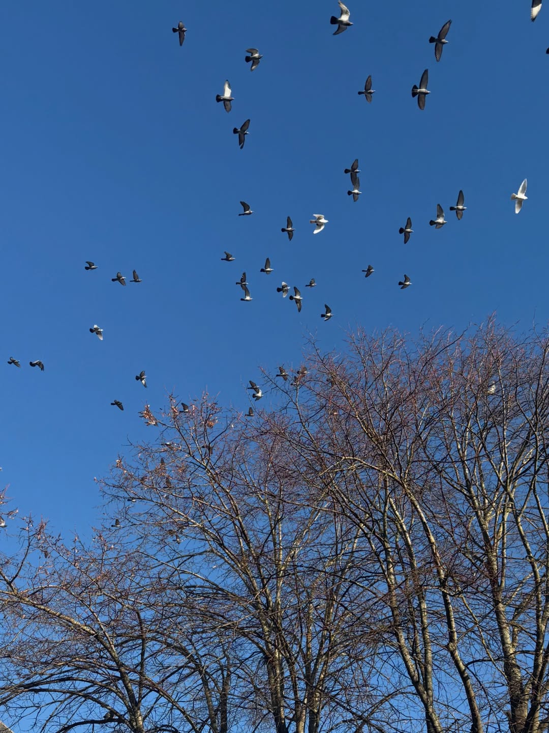 ยิปซี - คีรติ มหาพฤกษ์พงศ์