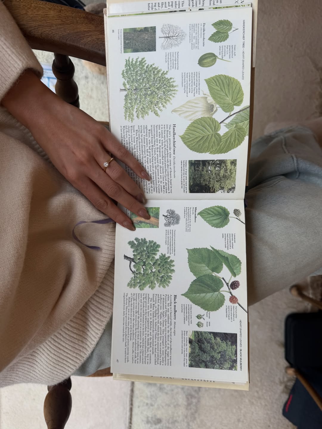 ยิปซี - คีรติ มหาพฤกษ์พงศ์