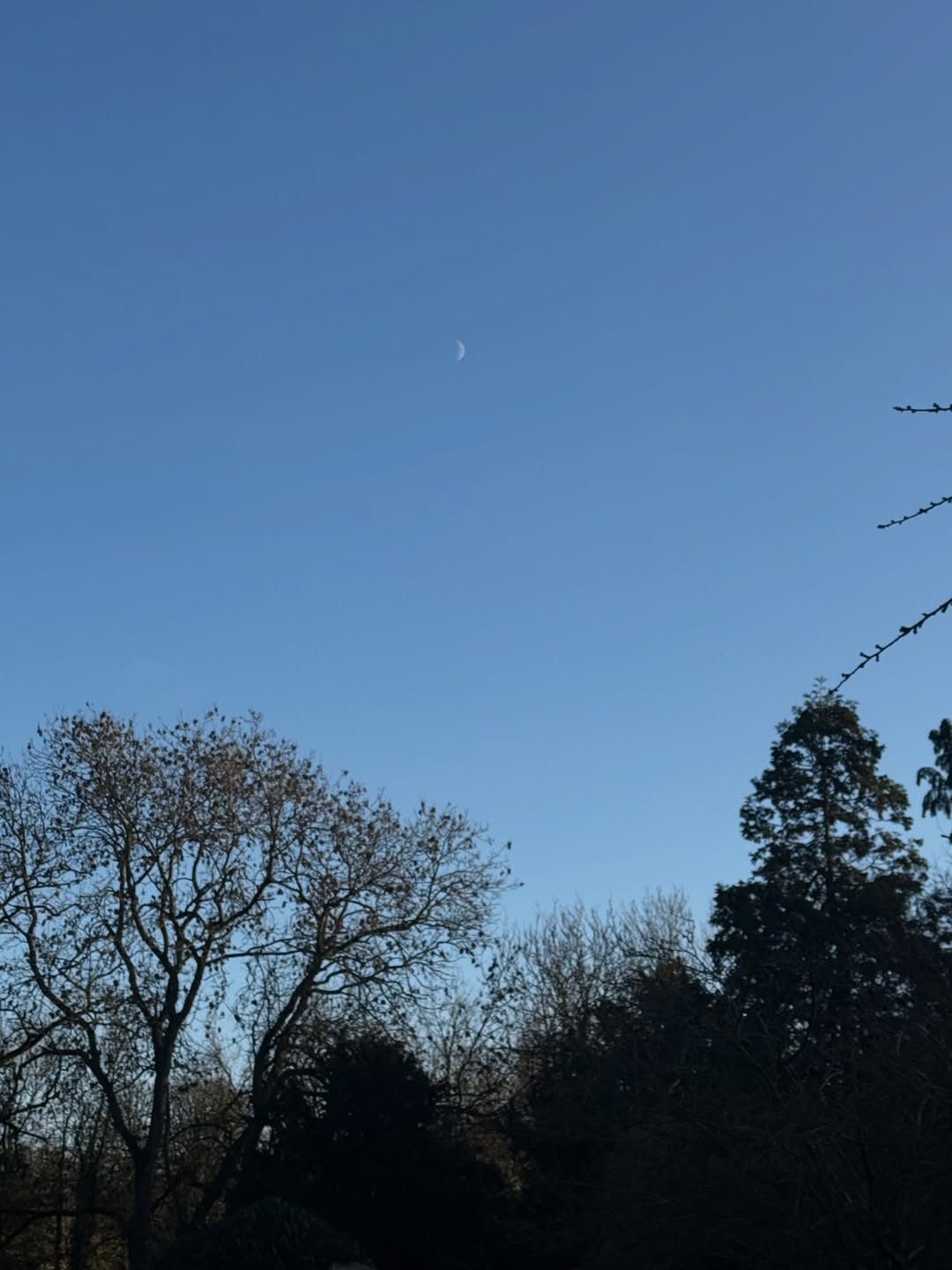 ยิปซี - คีรติ มหาพฤกษ์พงศ์