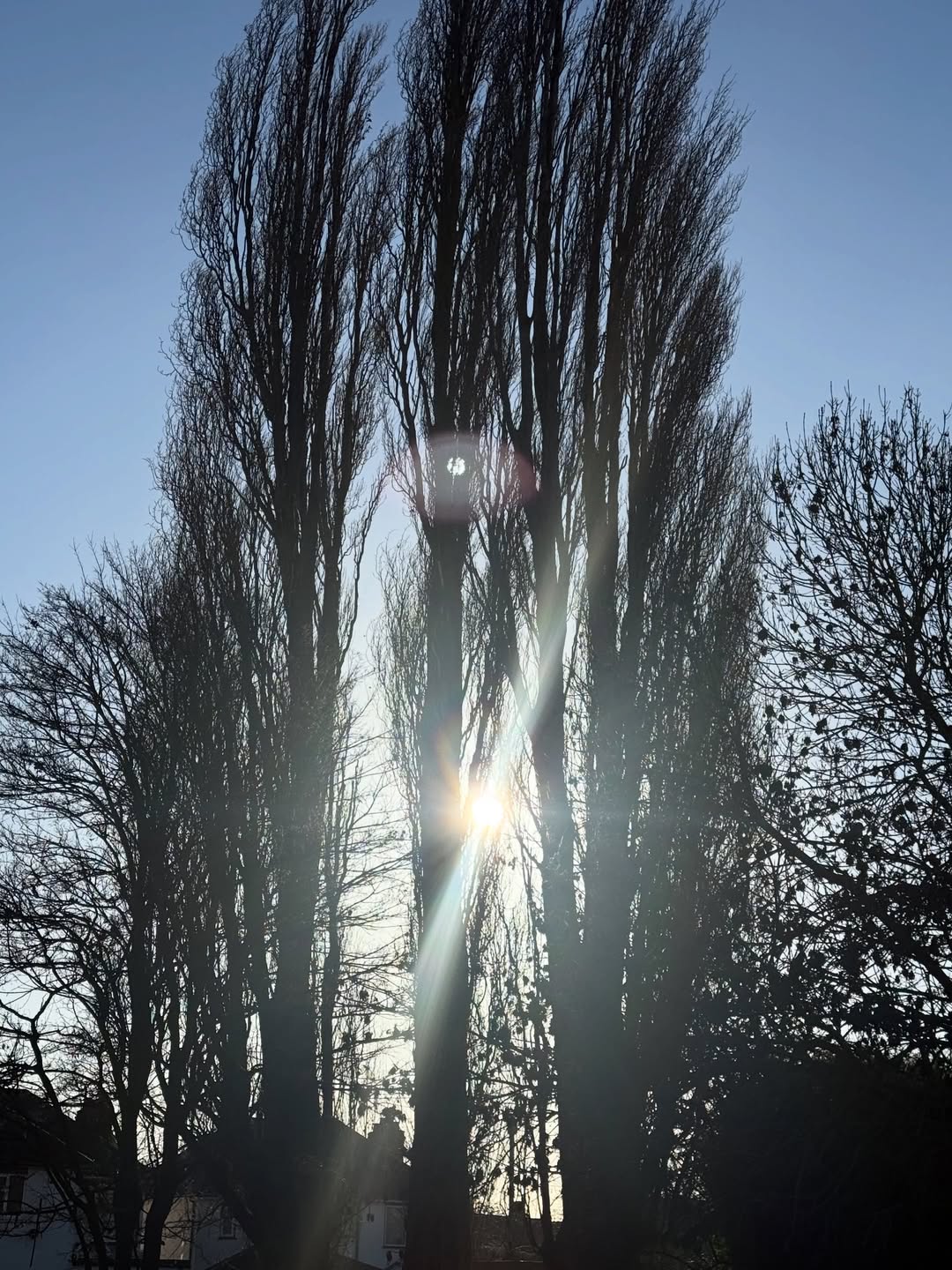 ยิปซี - คีรติ มหาพฤกษ์พงศ์