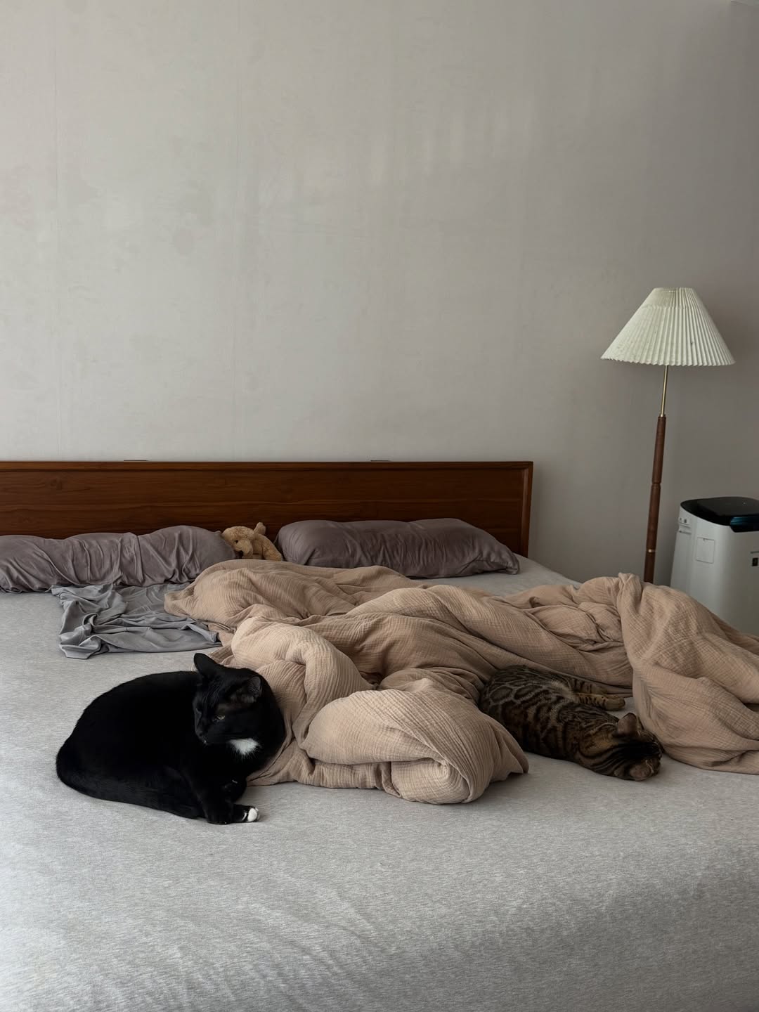 ยิปซี - คีรติ มหาพฤกษ์พงศ์