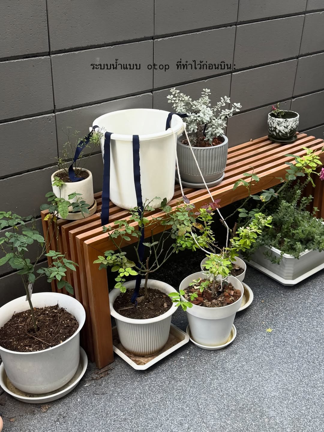 ยิปซี - คีรติ มหาพฤกษ์พงศ์