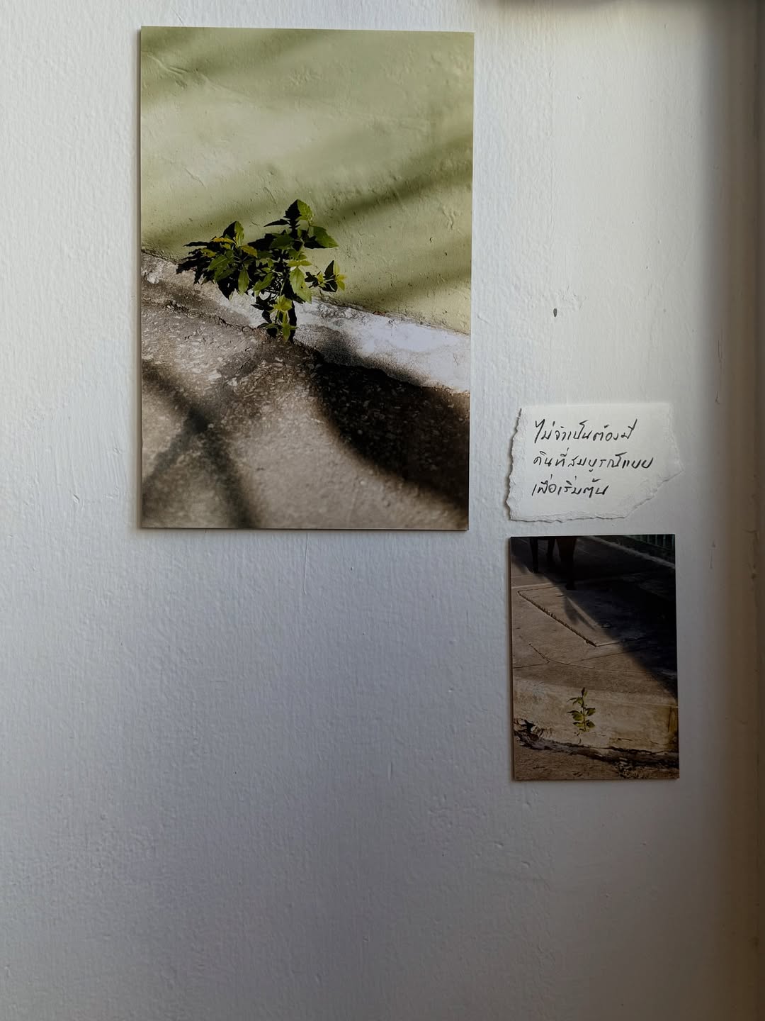 ยิปซี - คีรติ มหาพฤกษ์พงศ์