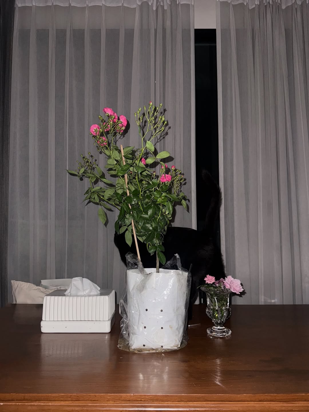 ยิปซี - คีรติ มหาพฤกษ์พงศ์