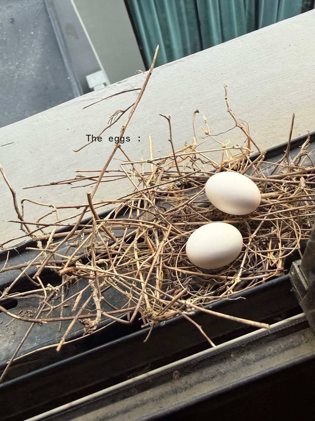 ยิปซี - คีรติ มหาพฤกษ์พงศ์