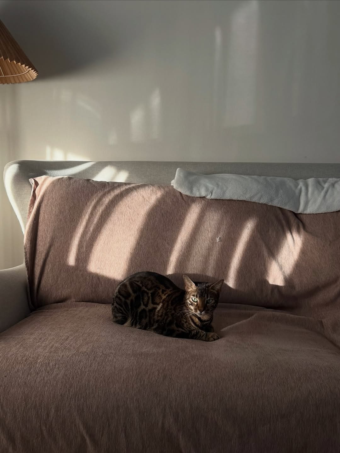 ยิปซี - คีรติ มหาพฤกษ์พงศ์