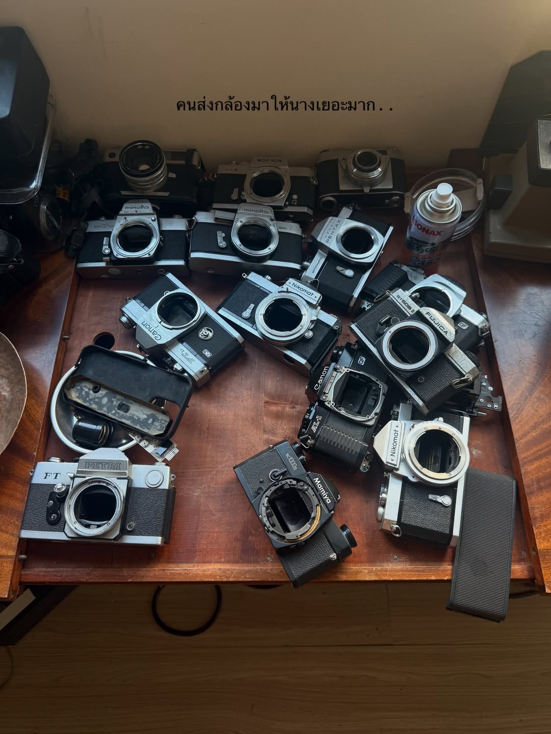 ยิปซี - คีรติ มหาพฤกษ์พงศ์