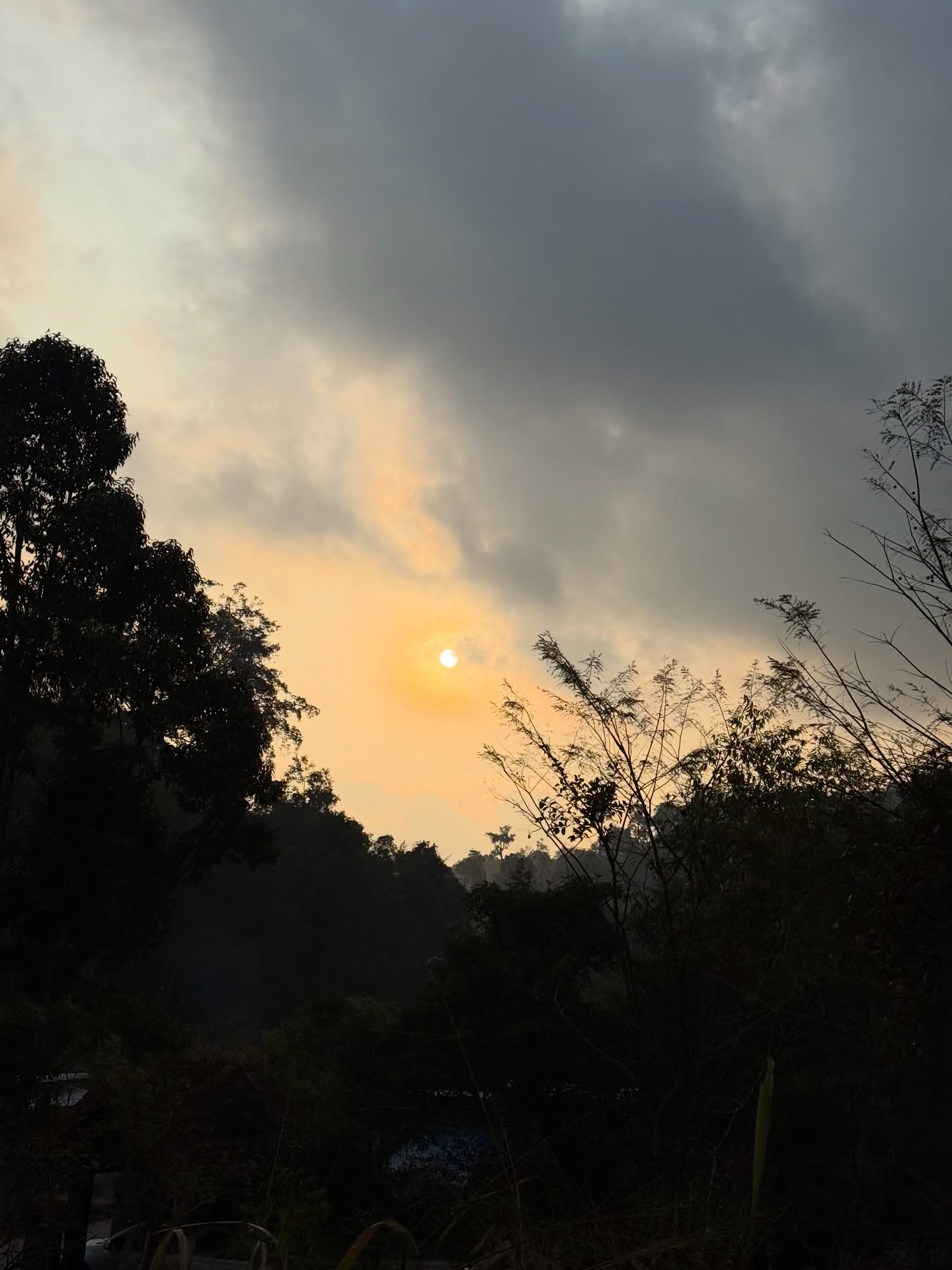 ยิปซี - คีรติ มหาพฤกษ์พงศ์