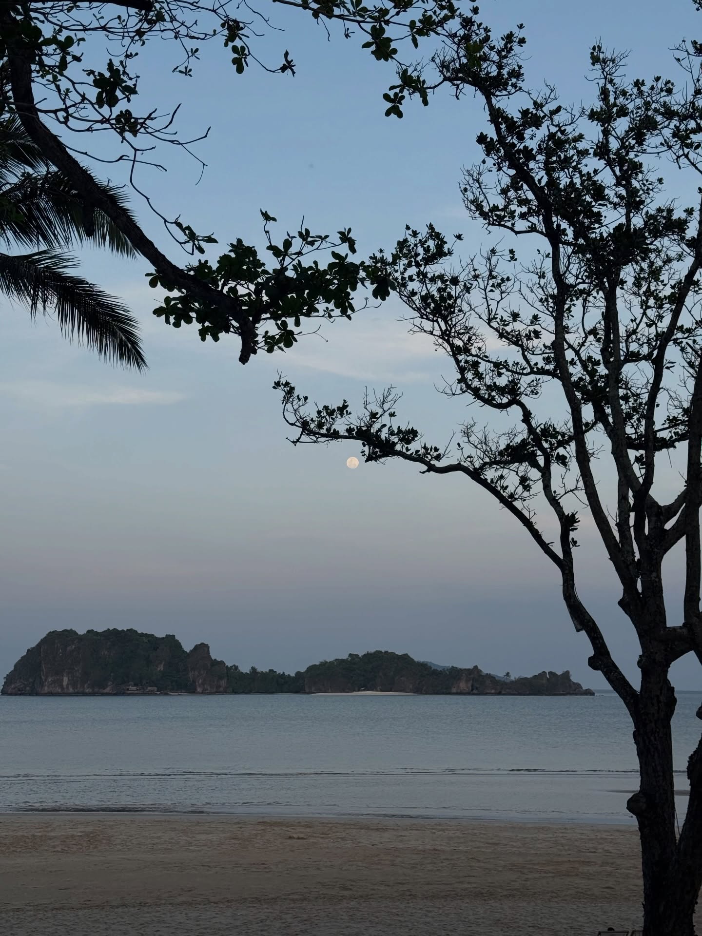 ยิปซี - คีรติ มหาพฤกษ์พงศ์