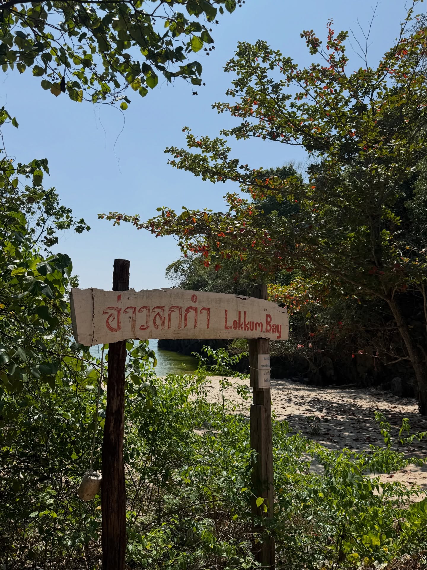 ยิปซี - คีรติ มหาพฤกษ์พงศ์