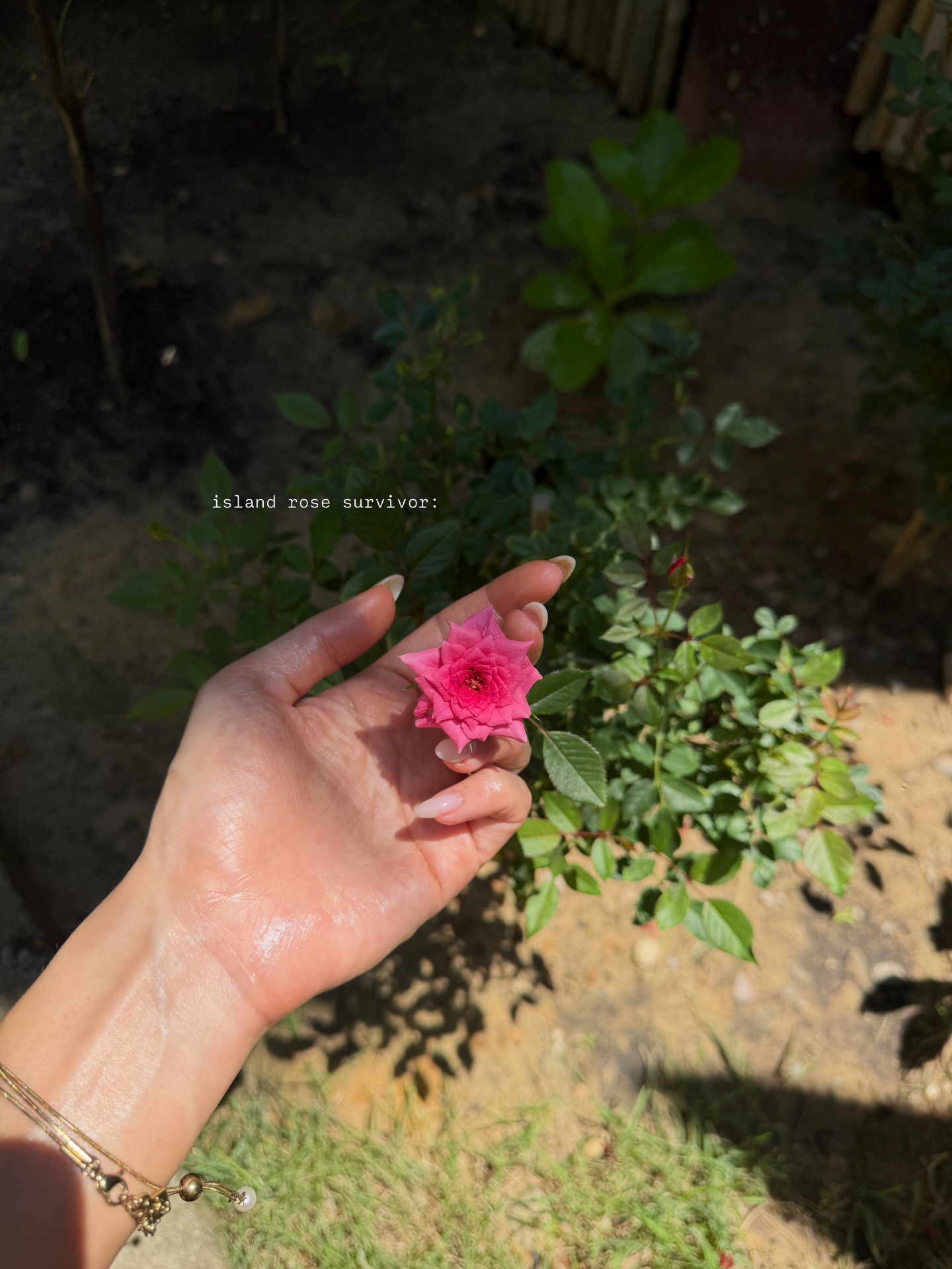 ยิปซี - คีรติ มหาพฤกษ์พงศ์