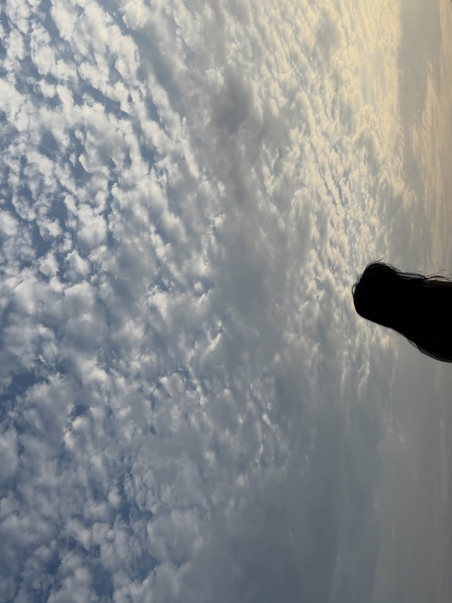 ยิปซี - คีรติ มหาพฤกษ์พงศ์