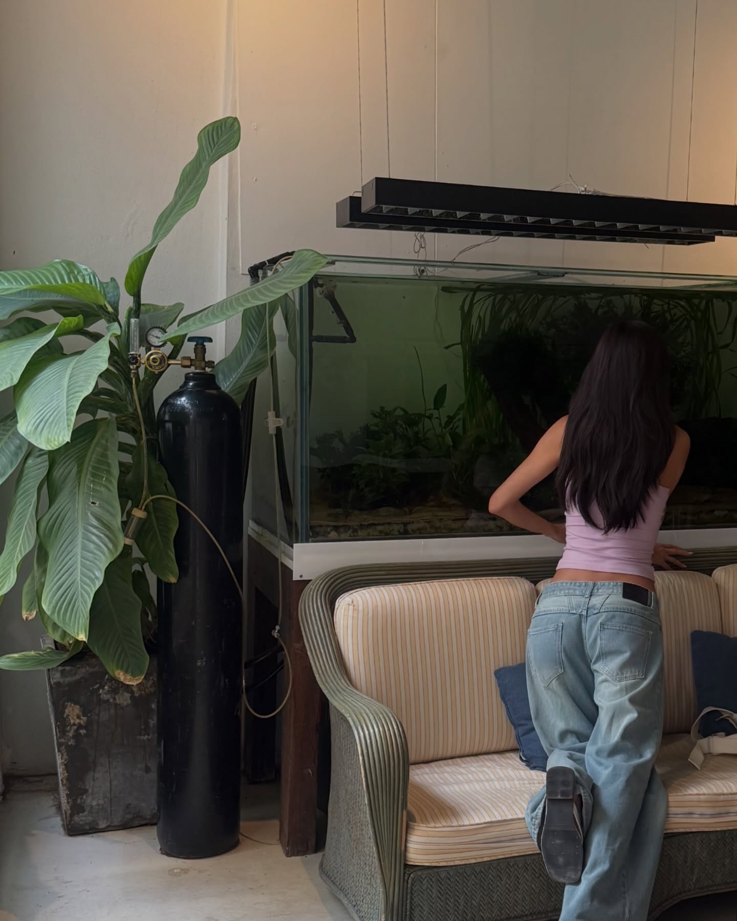 ยิปซี - คีรติ มหาพฤกษ์พงศ์