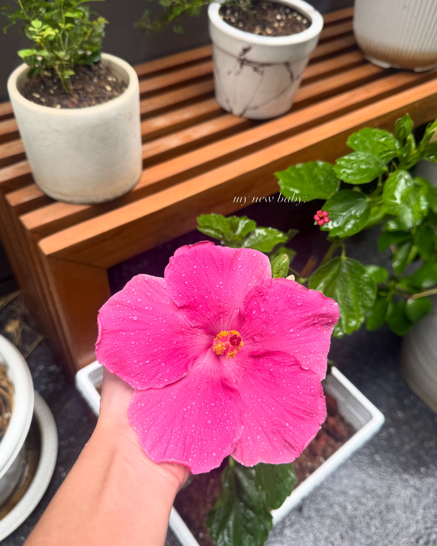 ยิปซี - คีรติ มหาพฤกษ์พงศ์