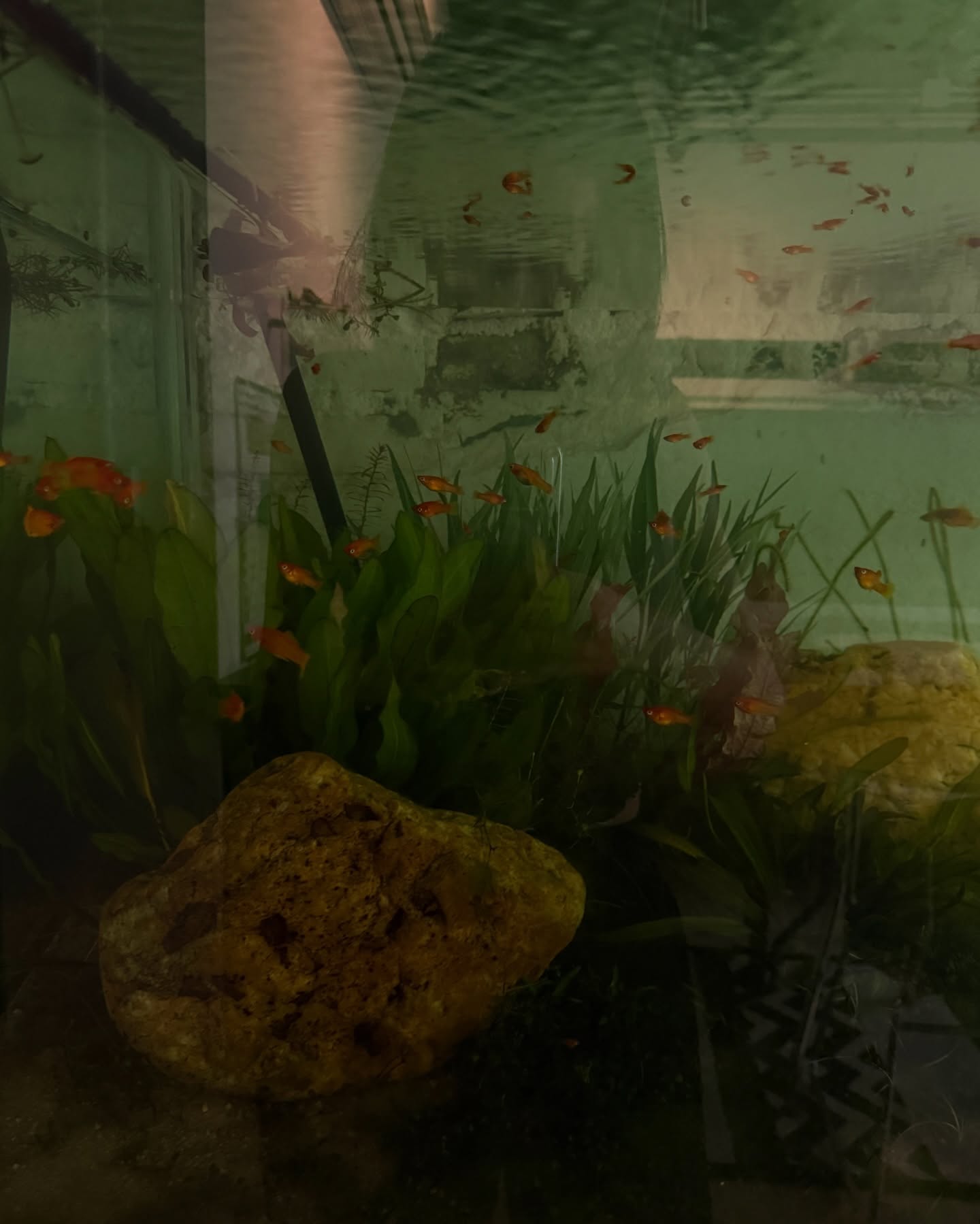 ยิปซี - คีรติ มหาพฤกษ์พงศ์