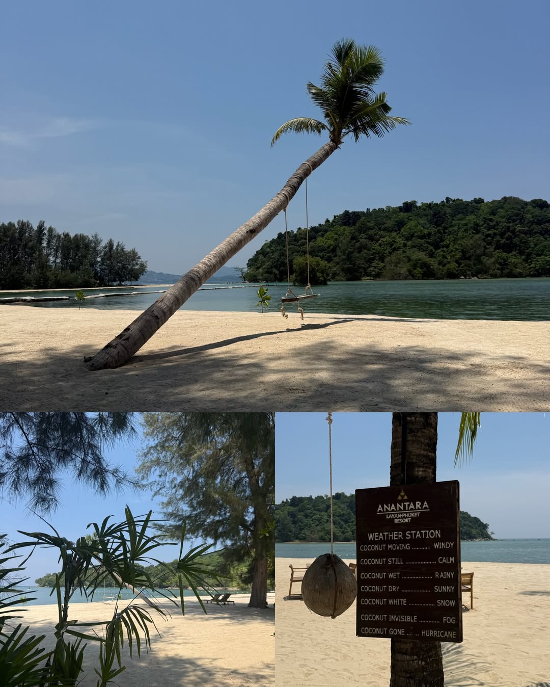 ยิปซี - คีรติ มหาพฤกษ์พงศ์