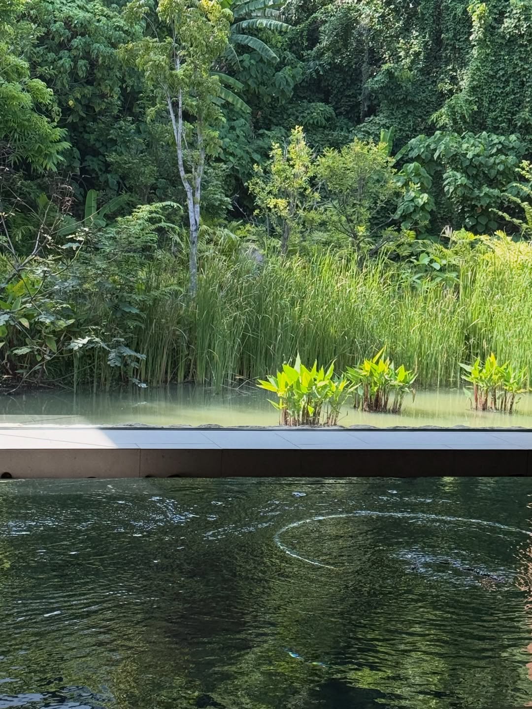 ยิปซี - คีรติ มหาพฤกษ์พงศ์