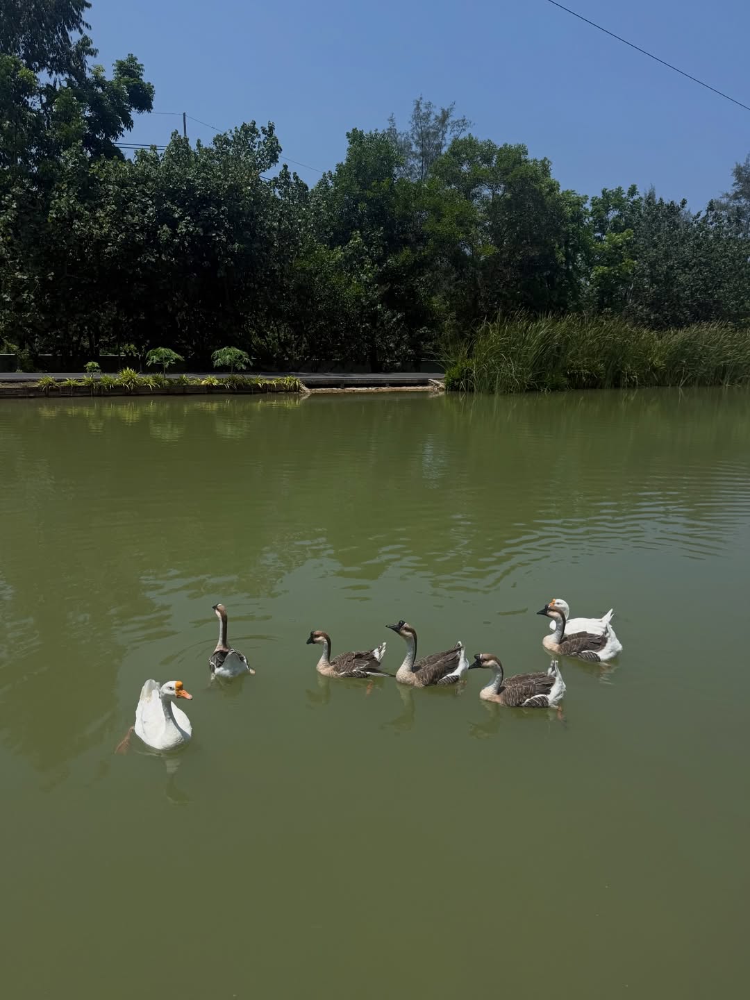 ยิปซี - คีรติ มหาพฤกษ์พงศ์