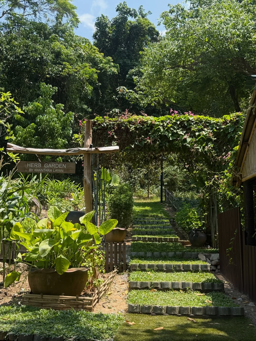 ยิปซี - คีรติ มหาพฤกษ์พงศ์