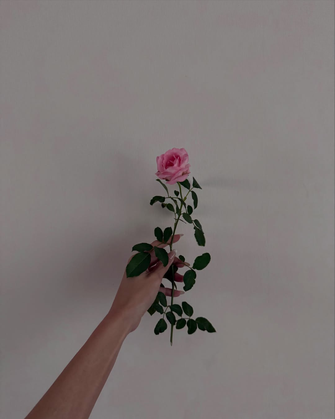 ยิปซี - คีรติ มหาพฤกษ์พงศ์