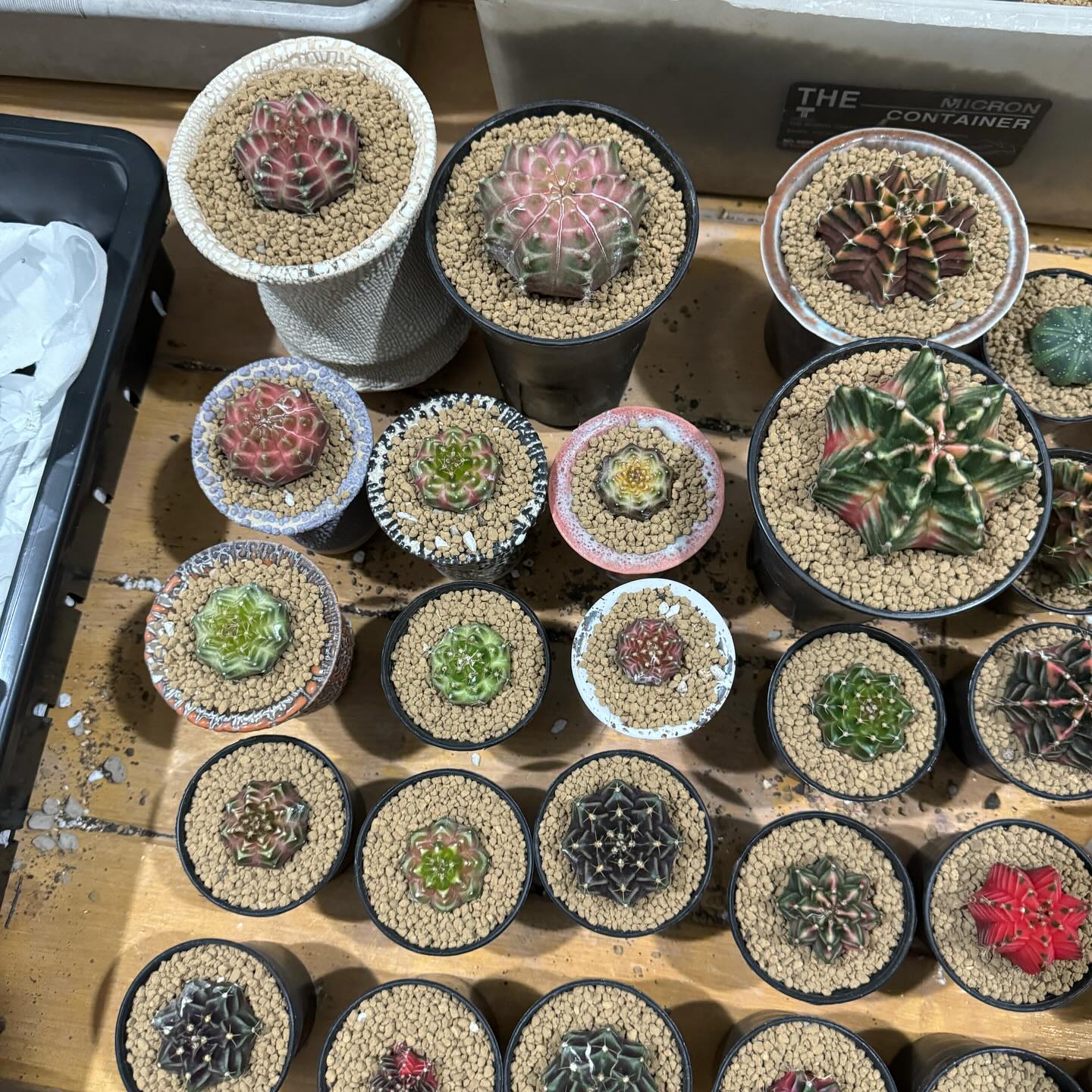 กัน - นภัทร อินทร์ใจเอื้อ