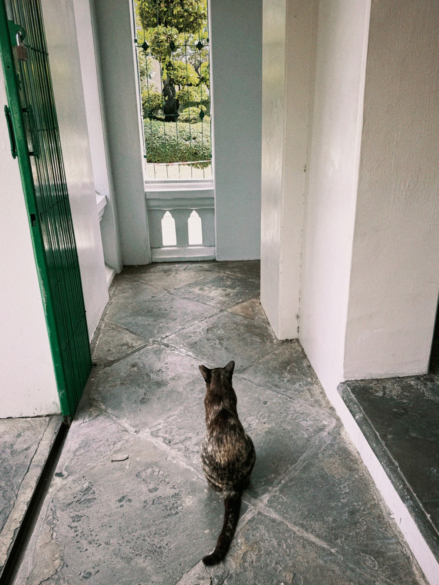 ดรีม - ณัฐณิชา เหลืองอนันต์คุณ