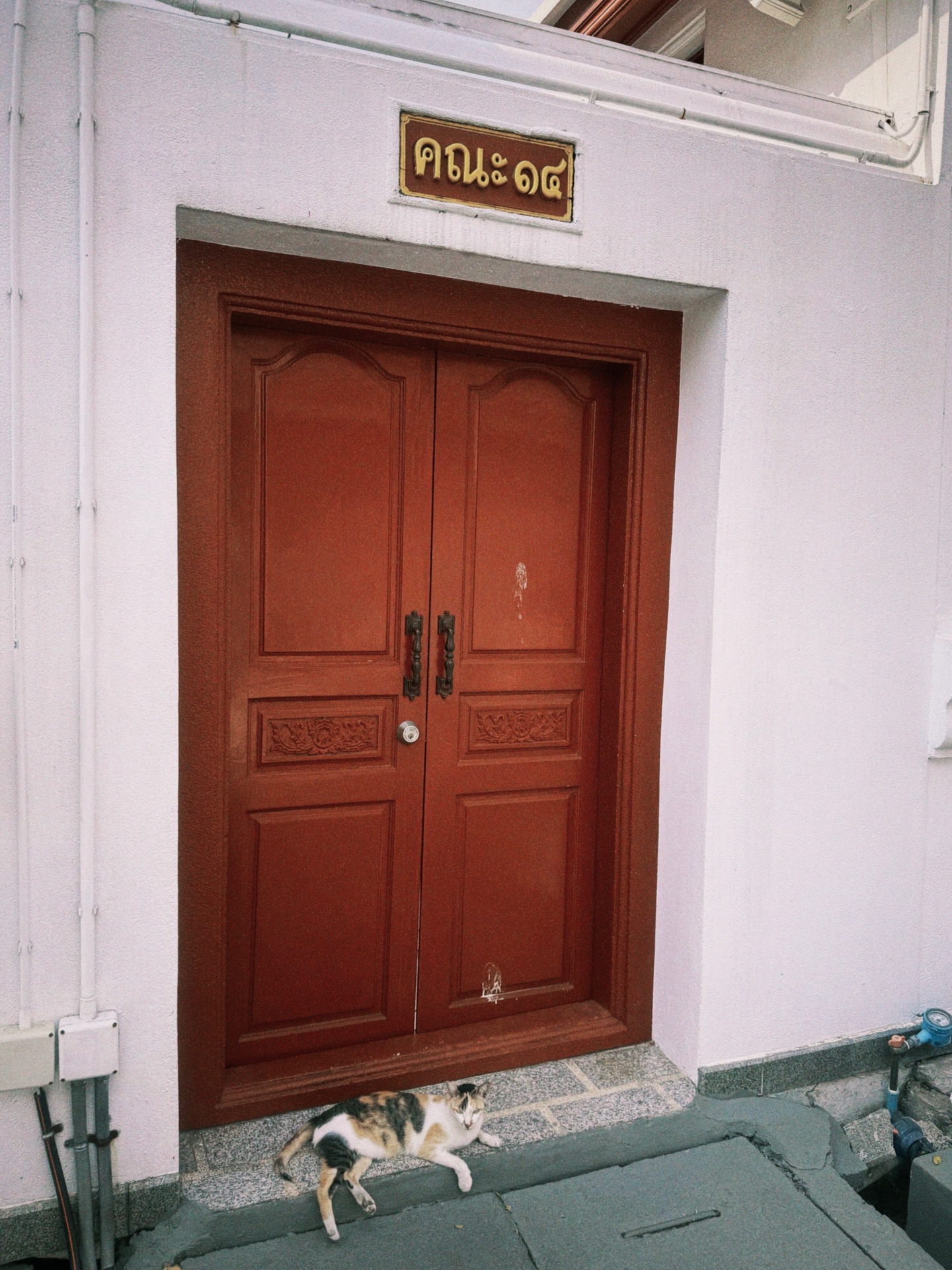 ดรีม - ณัฐณิชา เหลืองอนันต์คุณ