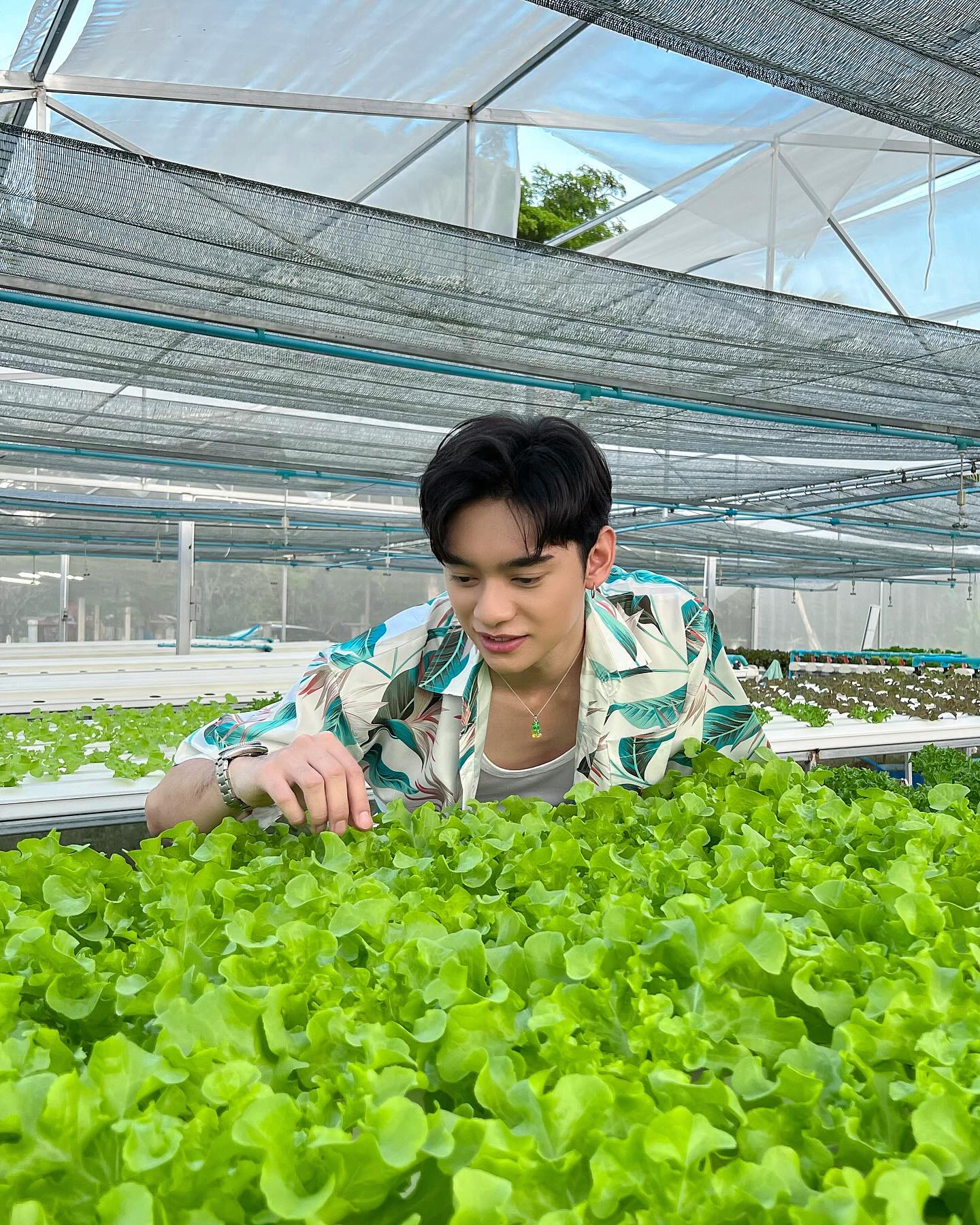 ก้าวหน้า - กิตติภัทร แก้วเจริญ